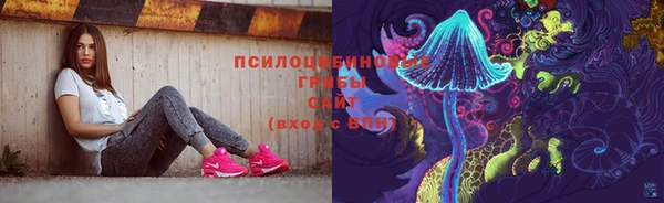 мдпв Киреевск