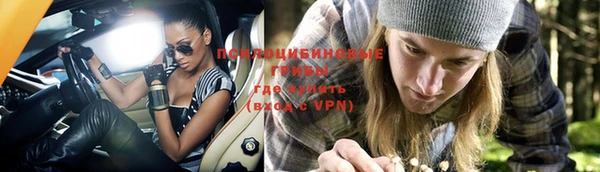 твердый Кинешма