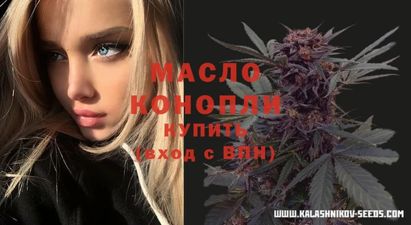 мдпв Киреевск