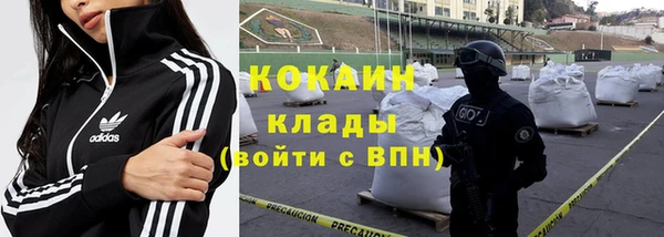 твердый Кинешма