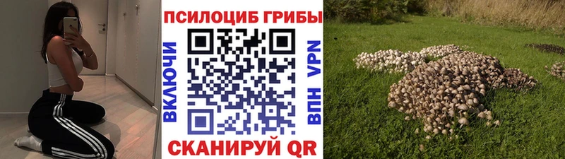 Псилоцибиновые грибы ЛСД Купить закладки Борзя
